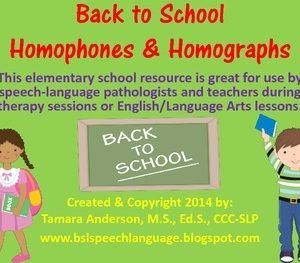 Homophones & Homographs- Back to School Baseline Checks