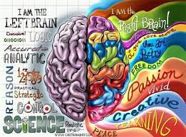 Learning Styles Myth or Fact:  Right Brain vs. Left Brain